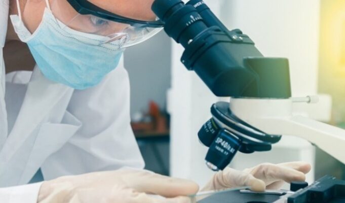 Τοξικός μύκητας της κατάρας των Φαραώ μετατρέπεται σε φάρμακο κατά της λευχαιμίας