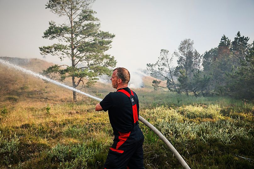 Firefighters spray water as they attempt to douse the flames after a severe wildfire near Skagen, Denmark on 14 July.