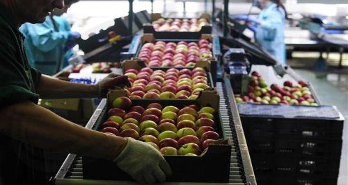 Ετήσια αύξηση 5,7% στον κύκλο εργασιών του ευρύτερου εμπορικού τομέα το 2023