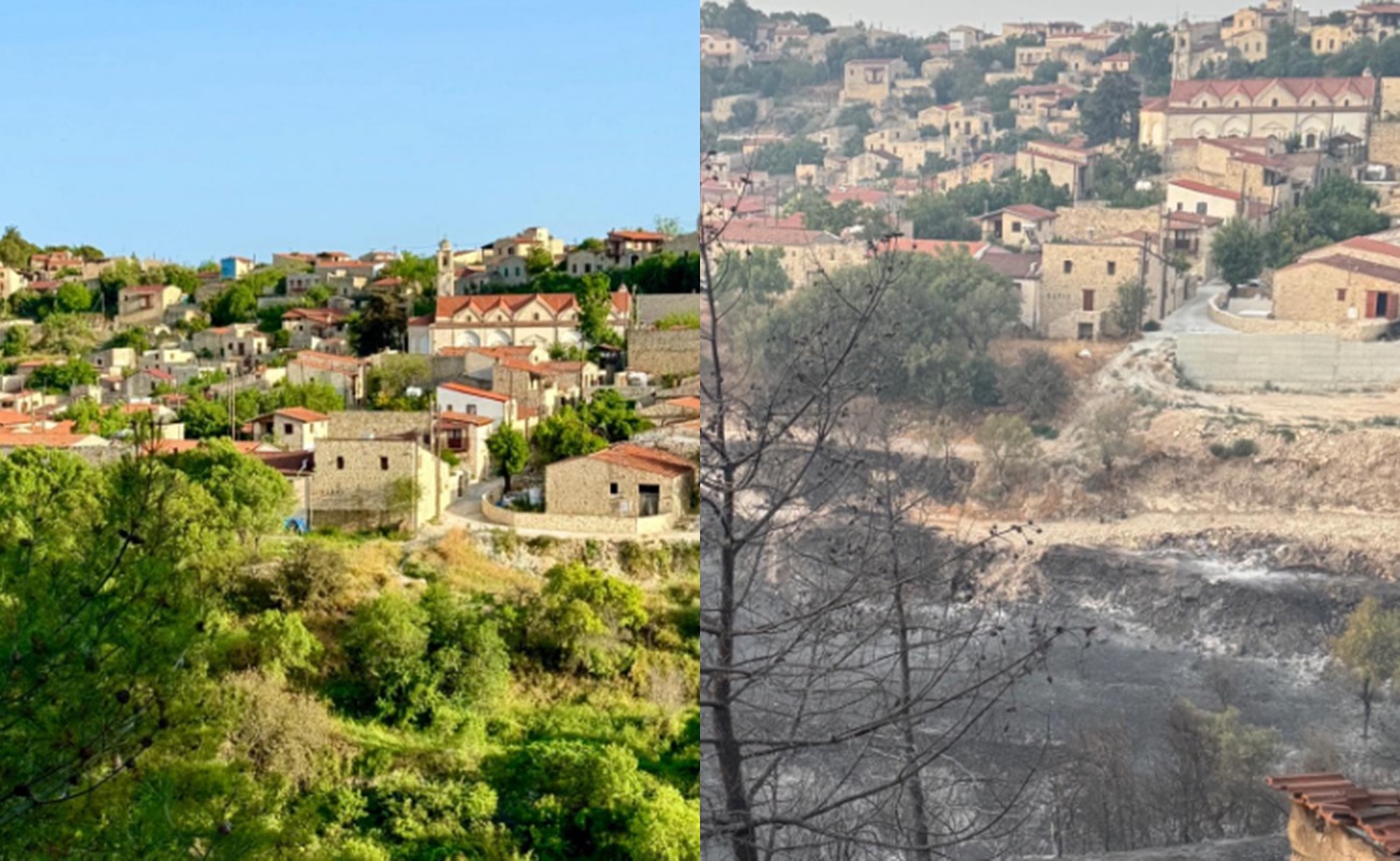 «Πράσινοι πνεύμονες» έγιναν στάχτη – Συγκριτικές εικόνες πριν και μετά τη φωτιά στη Λόφου συγκλονίζουν