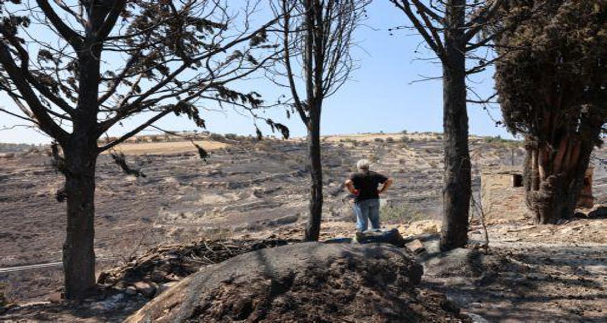ΠτΔ: Απολογήθηκε και εξήγγειλε δώδεκα άμεσες ενέργειες Κυβέρνησης για στήριξη πληγέντων
