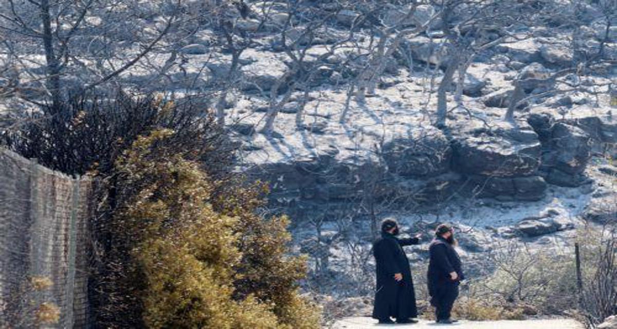 Αρχίζει άμεσα καταγραφή ζημιών σε καλλιέργειες 28 κοινοτήτων Λεμεσού, λέει το Τμήμα Γεωργίας