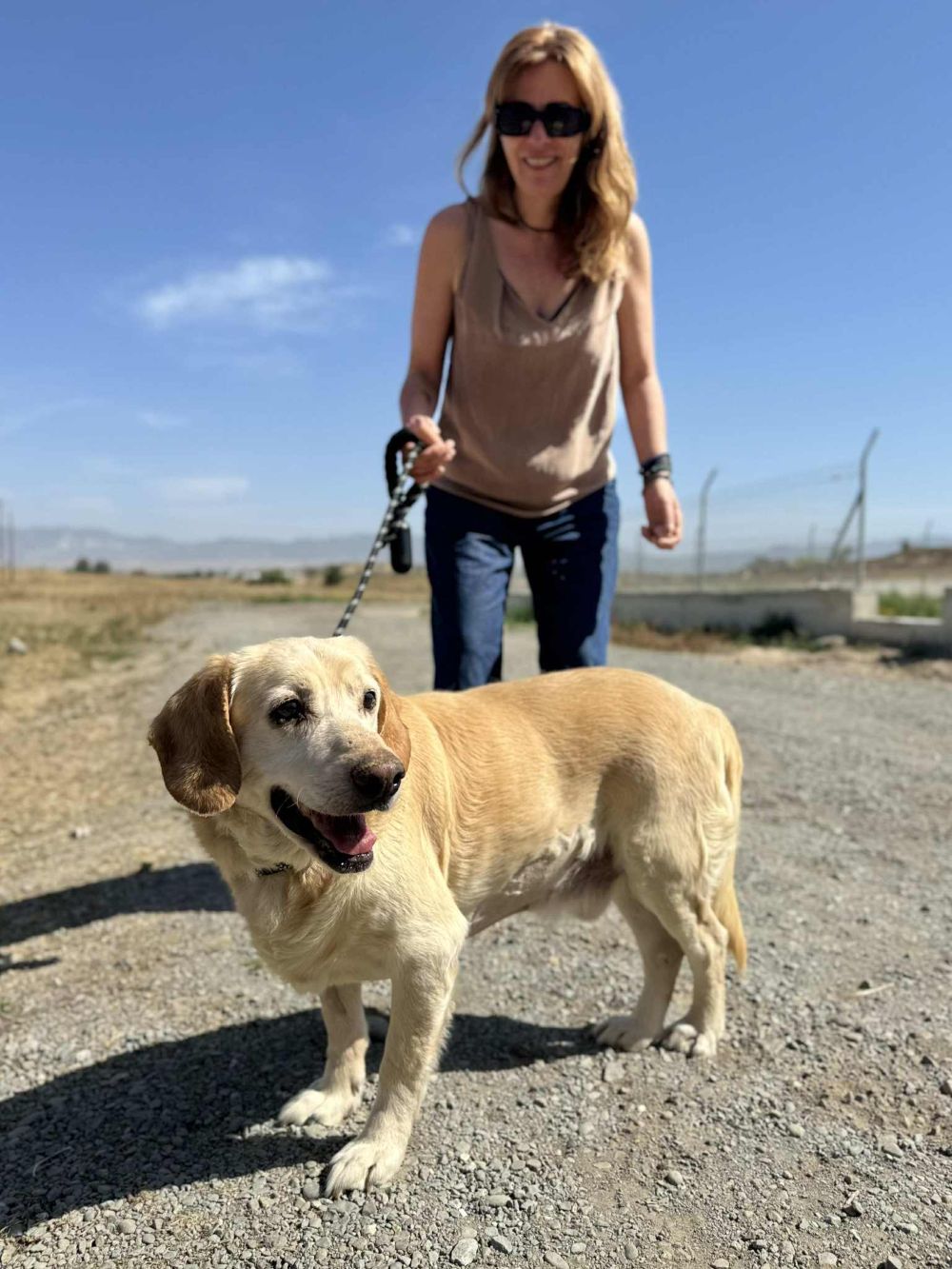 International Homeless Animal Day: Από «homeless», σε σπίτια γεμάτα αγάπη International Homeless Animal Day: Από «homeless», σε σπίτια γεμάτα αγάπη