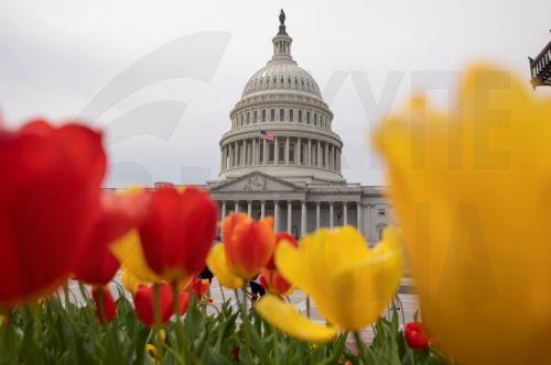 Δημοκρατικοί επικρίνουν τον Τραμπ ότι χρησιμοποιεί το FBI για να “εκφοβίσει”