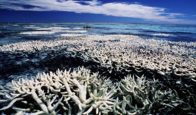 Οι ωκεανοί υποφέρουν από την κλιματική αλλαγή και η Μεσόγειος είναι πλέον hotspot λέει κορυφαίος ειδικός