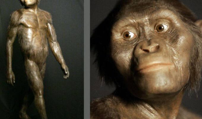 Ένα δεύτερο είδος δίπλα στη Λούσι