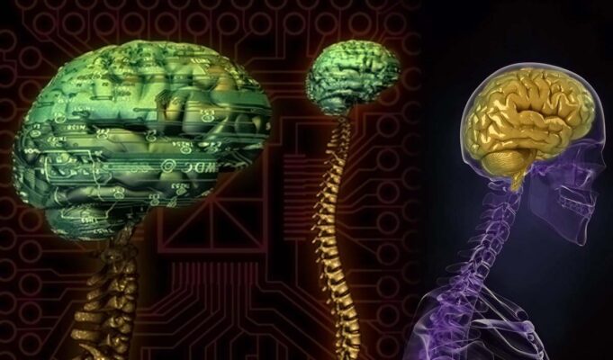 Νέα έρευνα: Μοντέλα ΑΙ που μιμούνται τον εγκέφαλο μαθαίνουν πριν καν εκπαιδευτούν