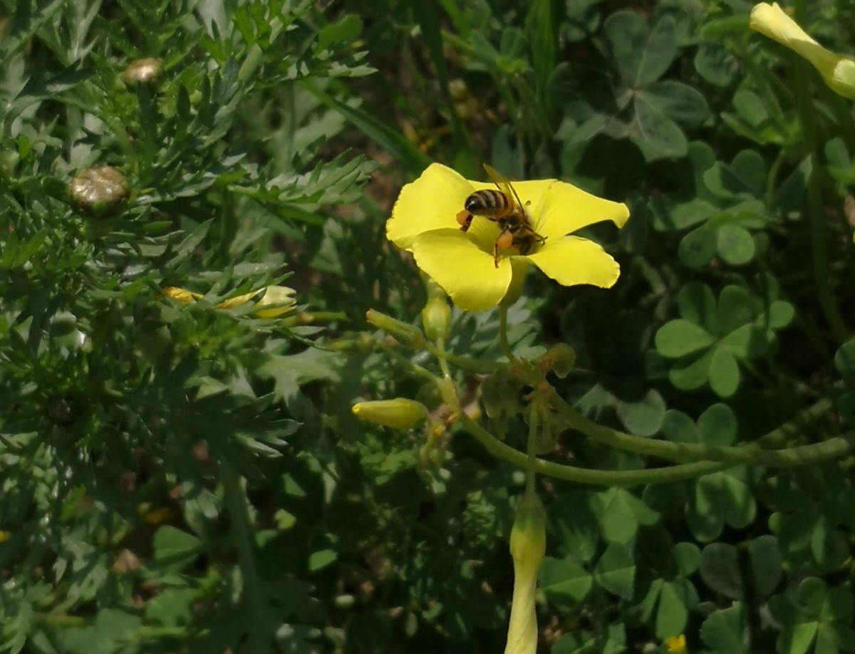 &Pi;&omicron;&iota;&omicron;&iota; &epsilon;ί&nu;&alpha;&iota; &omicron;&iota; &epsilon;&pi;&iota;&kappa;&omicron;&nu;&iota;&alpha;&sigma;&tau;έ&sigmaf; &kappa;&alpha;&iota; &tau;&iota; &epsilon;ί&nu;&alpha;&iota; &eta; &epsilon;&pi;&iota;&kappa;&omicron;&nu;ί&alpha;&sigma;&eta;;