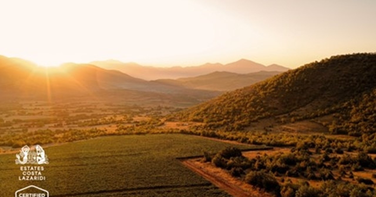 Estates Costa Lazaridi: &Tau;&omicron; 1&omicron; &omicron;&iota;&nu;&omicron;&pi;&omicron;&iota;&epsilon;ί&omicron; &sigma;&tau;&eta;&nu; &Epsilon;&lambda;&lambda;ά&delta;&alpha; &mu;&epsilon; &Pi;&iota;&sigma;&tau;&omicron;&pi;&omicron;ί&eta;&sigma;&eta; &Alpha;&nu;&alpha;&gamma;&epsilon;&nu;&nu;&eta;&tau;&iota;&kappa;ή&sigmaf; &Alpha;&mu;&pi;&epsilon;&lambda;&omicron;&kappa;&alpha;&lambda;&lambda;&iota;έ&rho;&gamma;&epsilon;&iota;&alpha;&sigmaf;