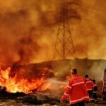 Δασική πυρκαγιά και δυνάμεις του Τμήματος Δασών