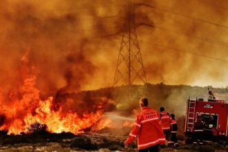 Δασική πυρκαγιά και δυνάμεις του Τμήματος Δασών