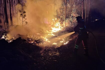Πυροσβέστης επιχειρεί τη νύχτα σε μεγάλη δασική πυρκαγιά στην Ευρώπη