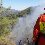 Μέλος του Τμήματος Δασών σε επιχείρηση κατάσβεσης πυρκαγιάς στην Κύπρο