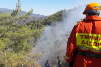 Μέλος του Τμήματος Δασών σε επιχείρηση κατάσβεσης πυρκαγιάς στην Κύπρο