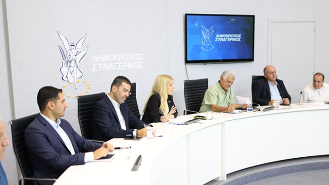 Η Αννίτα Δημητρίου στο Επαρχιακό Συμβούλιο Κερύνειας του ΔΗΣΥ