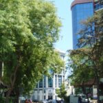 Τα κεντρικά γραφεία του Δημοκρατικού Συναγερμού στη Λευκωσία