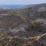 Αεροφωτογραφία καμένης μεσογειακής έκτασης με ζώνες πυροπροστασίας