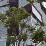 Head office of Tencent, the Tencent Seafront Towers, in Shenzhen
