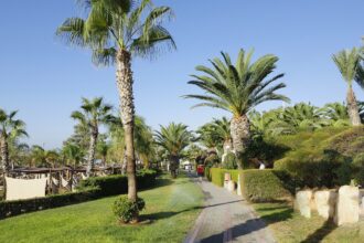 Δημόσιος χώρος στον Μόλο της Λεμεσού, 22 Σεπτεμβρίου 2023