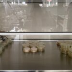 Εξοπλισμός μικροβιολογικού εργαστηρίου