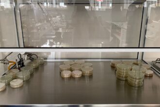Θάλαμος μικροβιολογικού εργαστηρίου με καλλιέργειες — φωτογραφία αρχείου του 2025