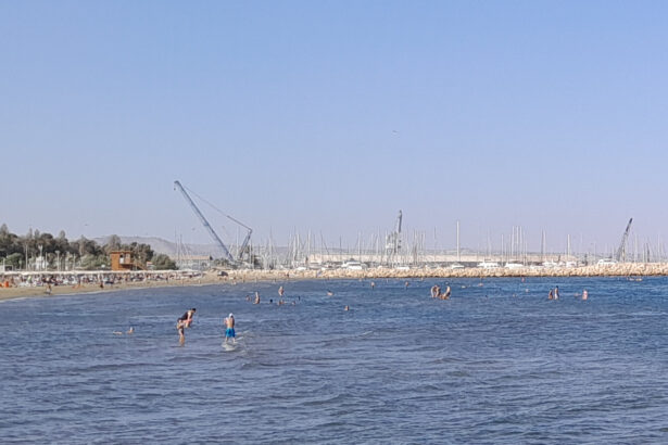 Η μαρίνα και ο κυματοθραύστης της Λάρνακας από τις Φοινικούδες.