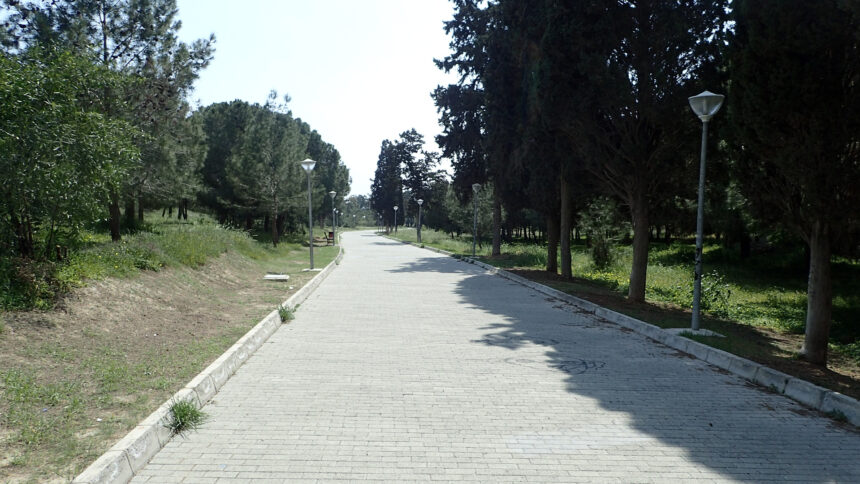Διάδρομος στο Παττίχειο Πάρκο της Λάρνακας