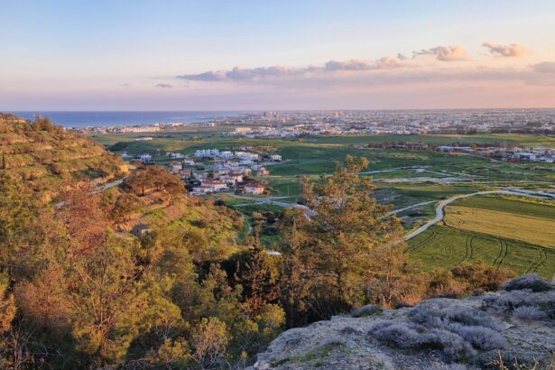 Κατοικίες και γεωργική γη στην Ορόκλινη, με τη Λάρνακα στο βάθος