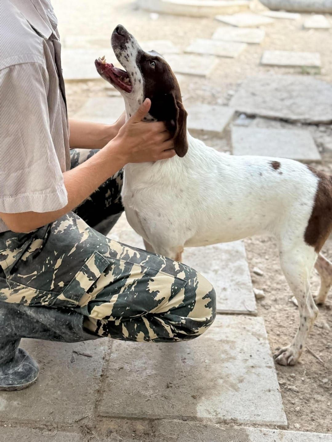Άνθρωπος χαϊδεύει σκύλο στο επίσημο φωτογραφικό υλικό της δράσης